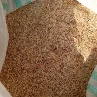 کاه نرم وتمیز سفید تابستان کوبیده شده