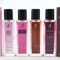 مخصوص کوه نوردی|کلکسیون و سرگرمی|بجنورد, |دیوار