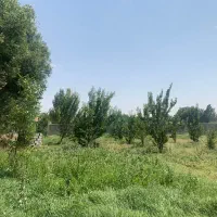 باغ بالاتر از خاوران نرسیده به باسمنج