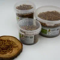 یونجه|لوازم جانبی حیوانات|تهران, تهرانسر غربی|دیوار