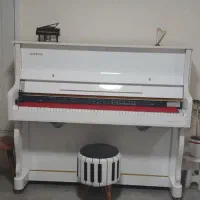 فروش انواع پیانو|پیانو، کیبورد، آکاردئون|اراک, |دیوار