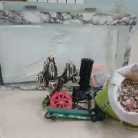 یک اکواریوم با کل لوازم ویک خانه ی حیوانات خانگی|لوازم جانبی حیوانات|گلبهار, شهر جدید گلبهار|دیوار