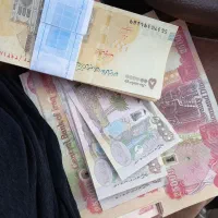 د.ینارکلکسیونی