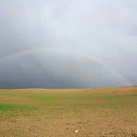 زمین دور دیوار ناظریه نیلوفر