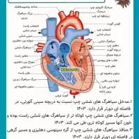تدریس خصوصی زیست و ریاضی کاکی ریگدان