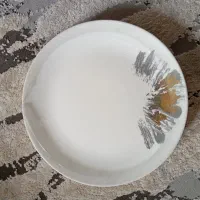 چند سرویس آرکوپال نو با کارتن