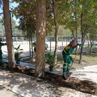 جذب نیرو کار جهت کار در فضای سبز|خدمات باغبانی و درختکاری|قدس, شهر‌قدس|دیوار