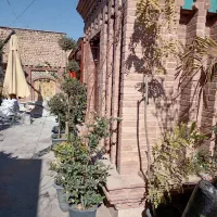 گل وگیاه|گل و گیاه طبیعی|شیراز, بازار|دیوار