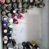 لاک ناخون سالنی