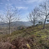 ۱۰۰۰مترزمین ویودار