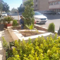 خدمات باغبانی طبیعت|خدمات باغبانی و درختکاری|قم, امامزاده ابراهیم|دیوار