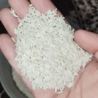 برنج هاشمی اعلا لشت نشا|خوردنی و آشامیدنی|رشت, جانبازان|دیوار