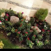 پخش کود گاوی گوسفندی خاک باغچه و..|خدمات باغبانی و درختکاری|کرج, کمالشهر|دیوار