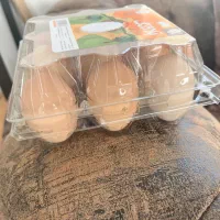 بهترین تخم مرغ  نطفه دار