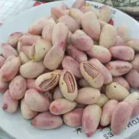 پسته اکبری و شاه پسند درشت و خندان دامغان