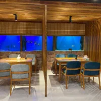 استخدام سالن دار و نیرو در اشپز خانه