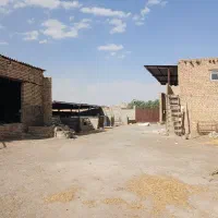 گاوداری ۲ هزار متری ،جهت مصارف صنعتی|فروش دفتر صنعتی، کشاورزی، تجاری|اصفهان, قلعه نو|دیوار