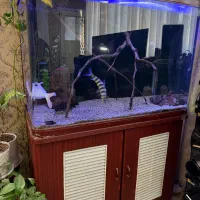 فروش اکواریوم وارداتی