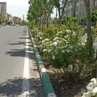 زمین-سند-تک-برگ-کاربری-مسکونی-تجاری-تهاتر