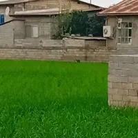 ۱۷۲ متر زمین شهرک ،اقساطی