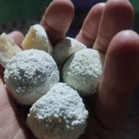 کشک خشک ارگانیک|خوردنی و آشامیدنی|قم, دانشگاه قم|دیوار