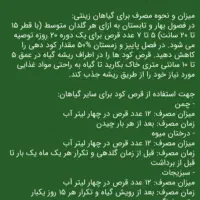 قرص‌کود|گل و گیاه طبیعی|دزفول, |دیوار