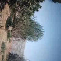 باغِ ویلایی ۱۱۰ متر حاشیه
