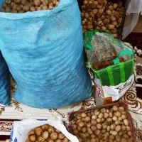 گردو|خوردنی و آشامیدنی|سامان, |دیوار