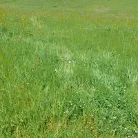 200 متر زمین ویلای داخل طرح