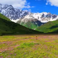 تهاتر-زمین-فریدونشهر-سنددار-چشمه-شخصی-با-مسکونی