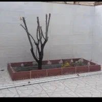 واحد مسکونی 180متری گلدشت شرقی