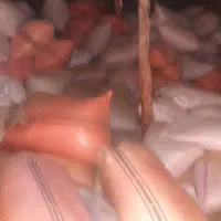 کاه گندم و آرد گندم