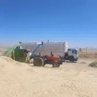 کاه.گندم.کردستان.نرم.