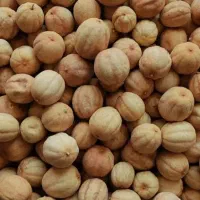 پخش حبوبات درجه یک