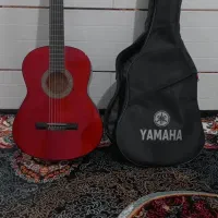 گیتار دیاموند با کیفت