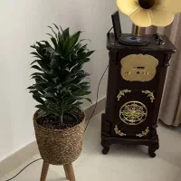گرامافون نو