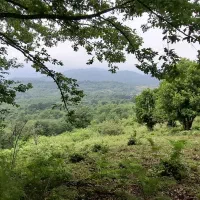 زمین بی‌نظیر ۱۸۰۰۰متری/ ۳سندتک برگ /بر روی ارتفاع