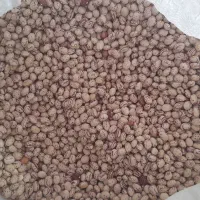 لوبیا چیتی|خوردنی و آشامیدنی|مرودشت, فرهنگ|دیوار