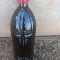شیره انگورکشمش
