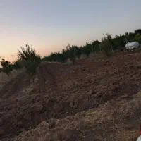 باغشهر ساوالان ارتش|فروش دفتر صنعتی، کشاورزی، تجاری|باغ حلی, |دیوار