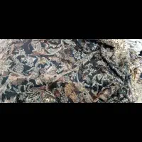۲ عدد روفرشی کشدار ۱۲ متری|روفرشی|شیراز, زرهی|دیوار
