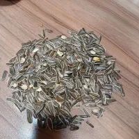 پخش قهوه خرماو معجون وسوهان