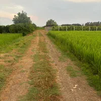 زمین کشاورزی ۵۰۰ متر در ارطه