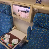 بلیط قطار