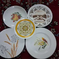 عکس اول پلوخوری دونه ۵۰ و بقیه ملامین دونه ۳۵
