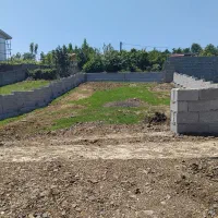 روستایی-تک-برگ-سند-دورمحصور