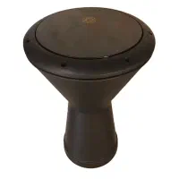 داربوکا پژواک