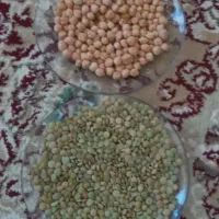 عدس‌ونخود‌