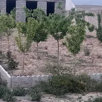 باغ ویلا۶۵۰متری ملکی کناربافت ماریان|فروش خانه و ویلا|مشهد, توس (بلوار توس)|دیوار