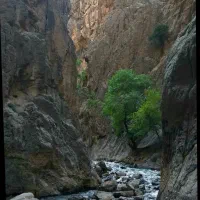 تور وگردشگری